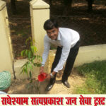 plant 02 copy