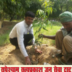 plant copy